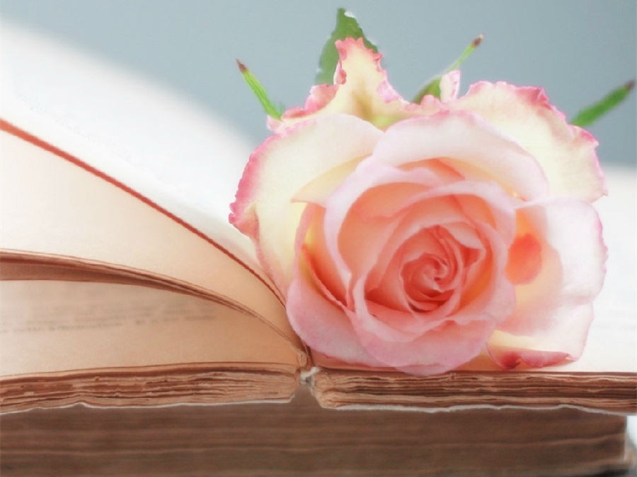 广州挖掘机培训学校教你挖掘机的故障分析法