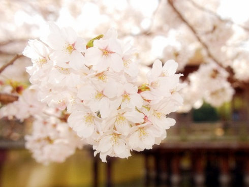 做会计师很赞的十大理由,越秀区会计培训